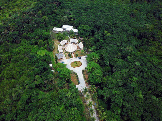 The Lekki Conservation Centre